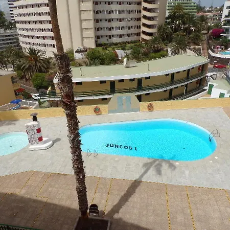 Juncos 403 Appartement